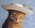 tn_50x40_Sunshine_G5366.jpg