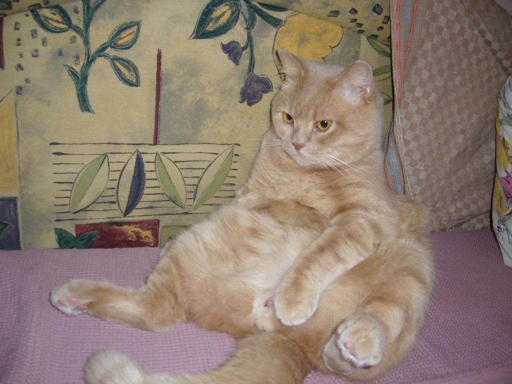 Míša.JPG