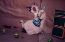 rock star.jpg